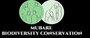 MUBARE BIODIVERSITY CONSERVATION - Bwindi Reformed Poacher Centre